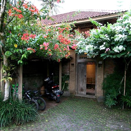 Artist Eco Villa In אובוד מראה חיצוני תמונה